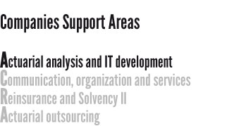 Actuarial analysis and IT development